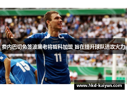费内巴切免签波黑老将哲科加盟 旨在提升球队进攻火力